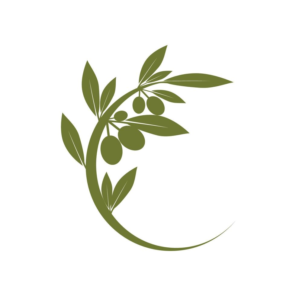 olive icon vector illustration design template