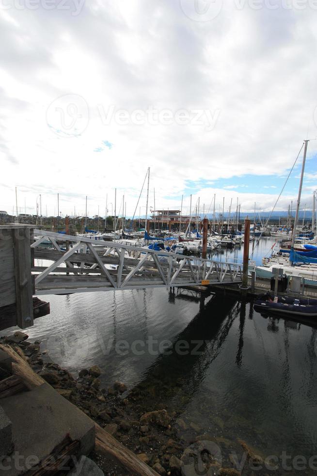 A busy marina with a gang plank. photo