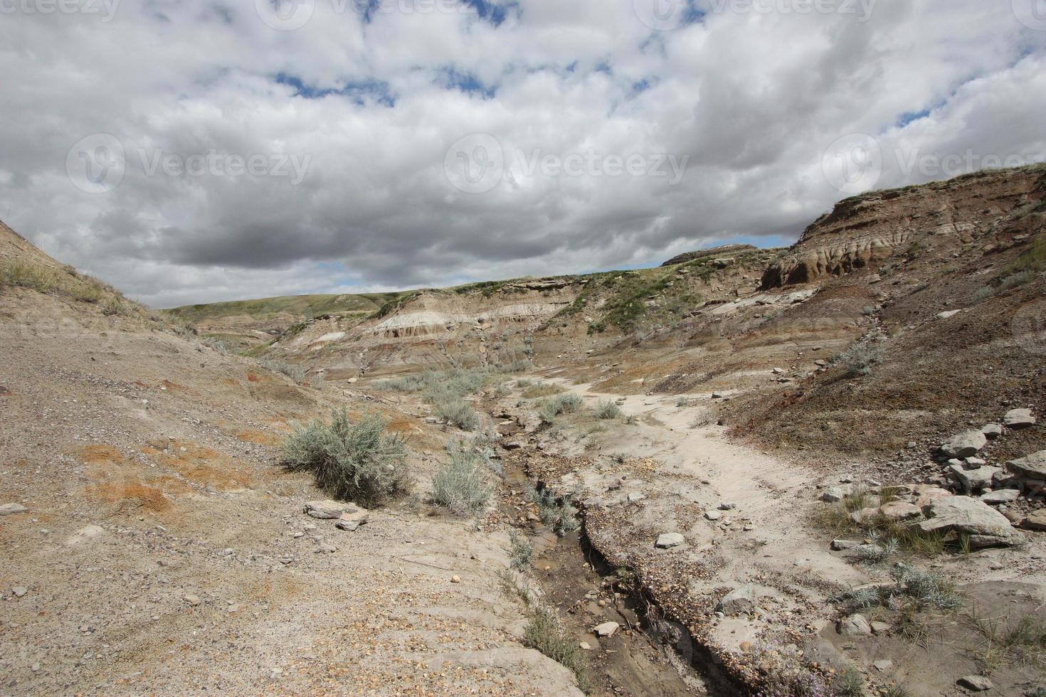 A landscape of a desert with dry creek bed. photo