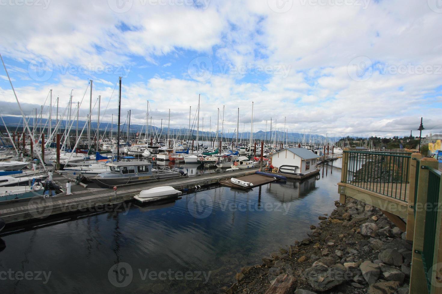 A side view of a very busy ship marina. photo