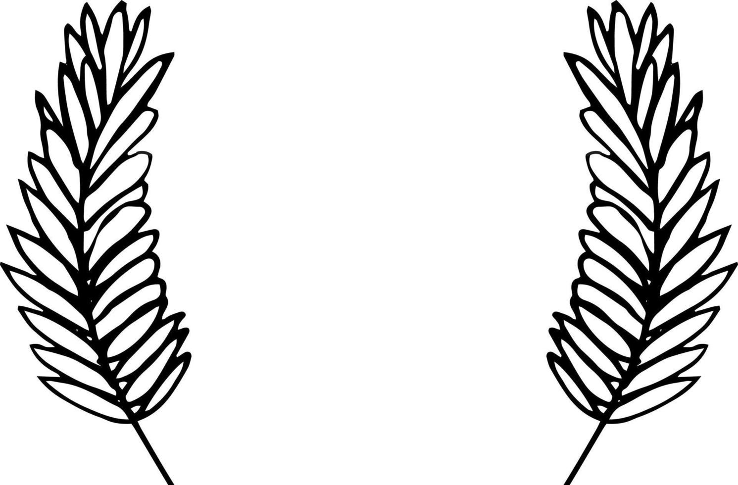 spikelet frame border. hand drawn doodle style. , minimalism, monochrome sketch grain harvest vector