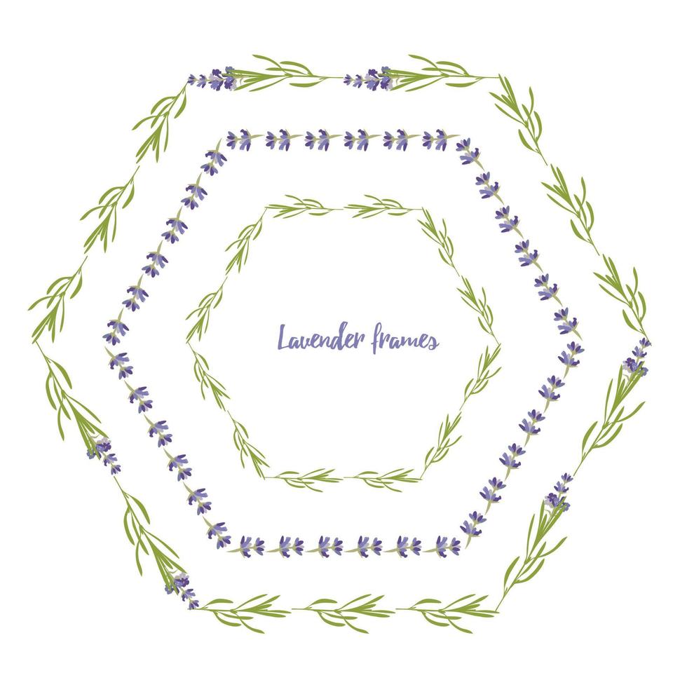 Set violet Lavender beautiful floral frames template in flat watercolor style isolated on white background for decorative design, wedding card, invitation, travel flayer. Botanical illustration vector