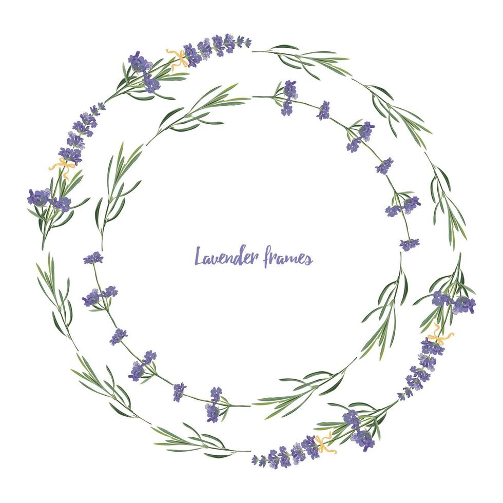 Set violet Lavender beautiful floral frames template in vector watercolor style isolated on white background for decorative design, wedding card, invitation, travel flayer. Botanical illustration