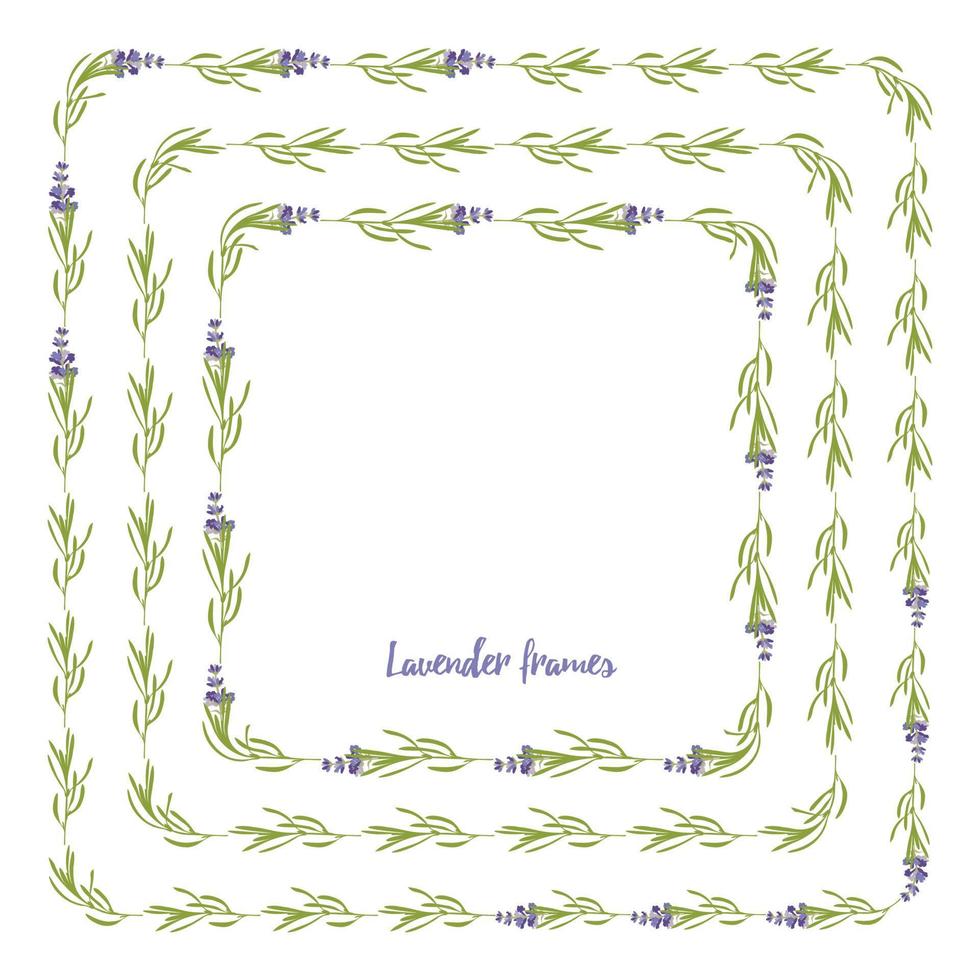 establezca la plantilla de hermosos marcos florales de lavanda violeta en estilo acuarela plana aislado en fondo blanco para diseño decorativo, tarjeta de boda, invitación, capa de viaje. ilustración botánica vector