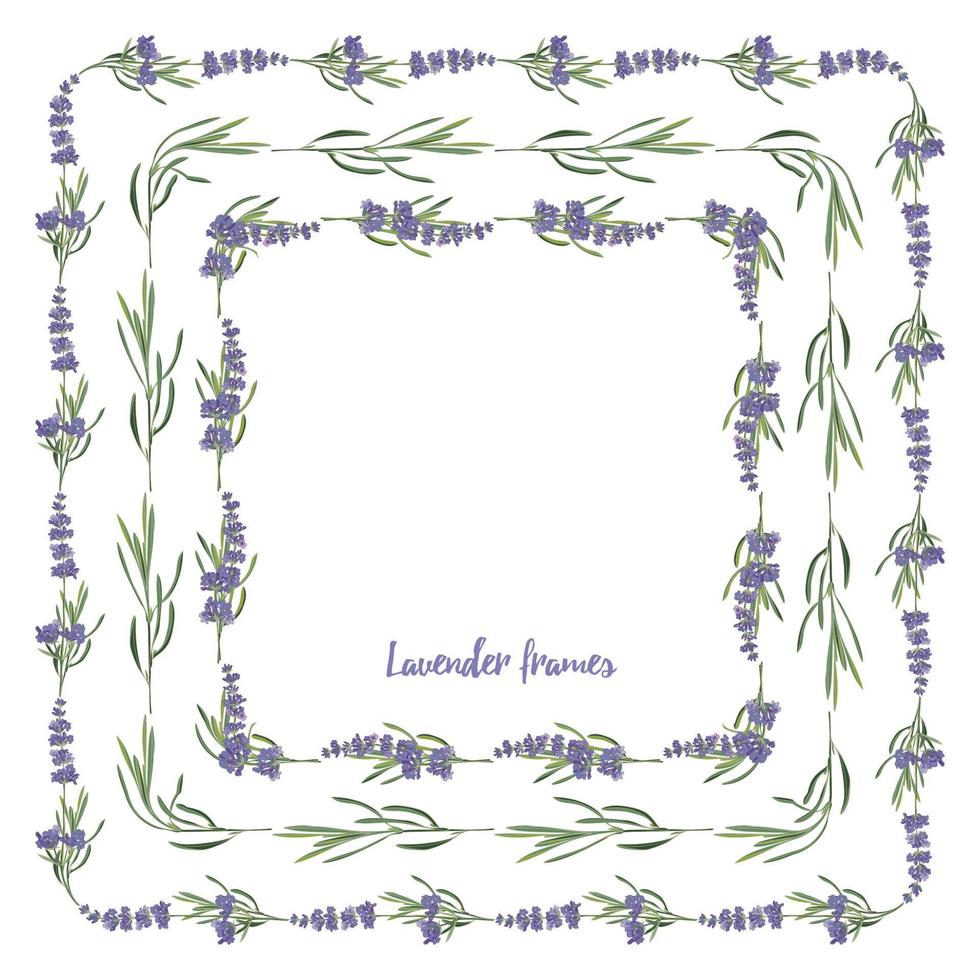 Set violet Lavender beautiful floral frames template in vector watercolor style isolated on white background for decorative design, wedding card, invitation, travel flayer. Botanical illustration