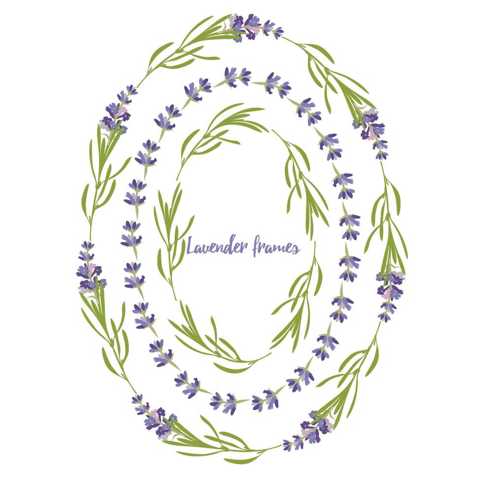 Set violet Lavender beautiful floral frames template in flat watercolor style isolated on white background for decorative design, wedding card, invitation, travel flayer. Botanical illustration vector