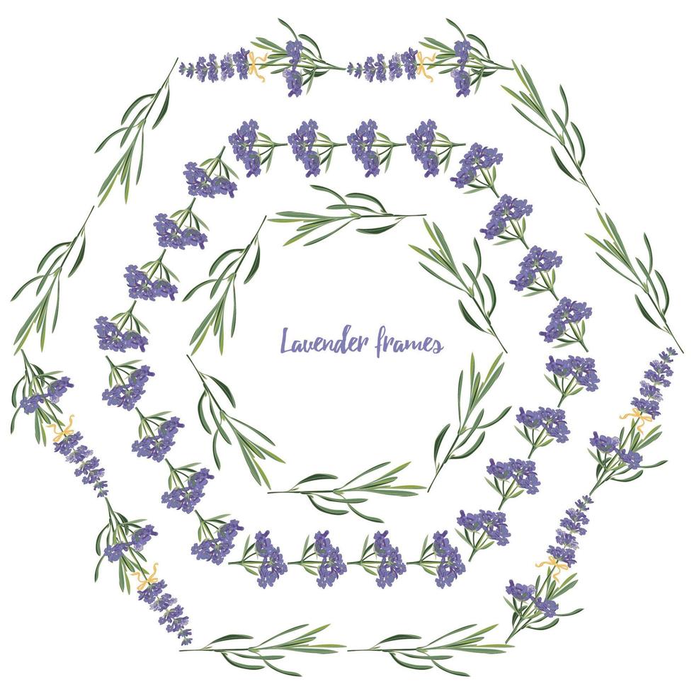 establezca la plantilla de hermosos marcos florales de lavanda violeta en estilo de acuarela vectorial aislado en fondo blanco para diseño decorativo, tarjeta de boda, invitación, capa de viaje. ilustración botánica vector