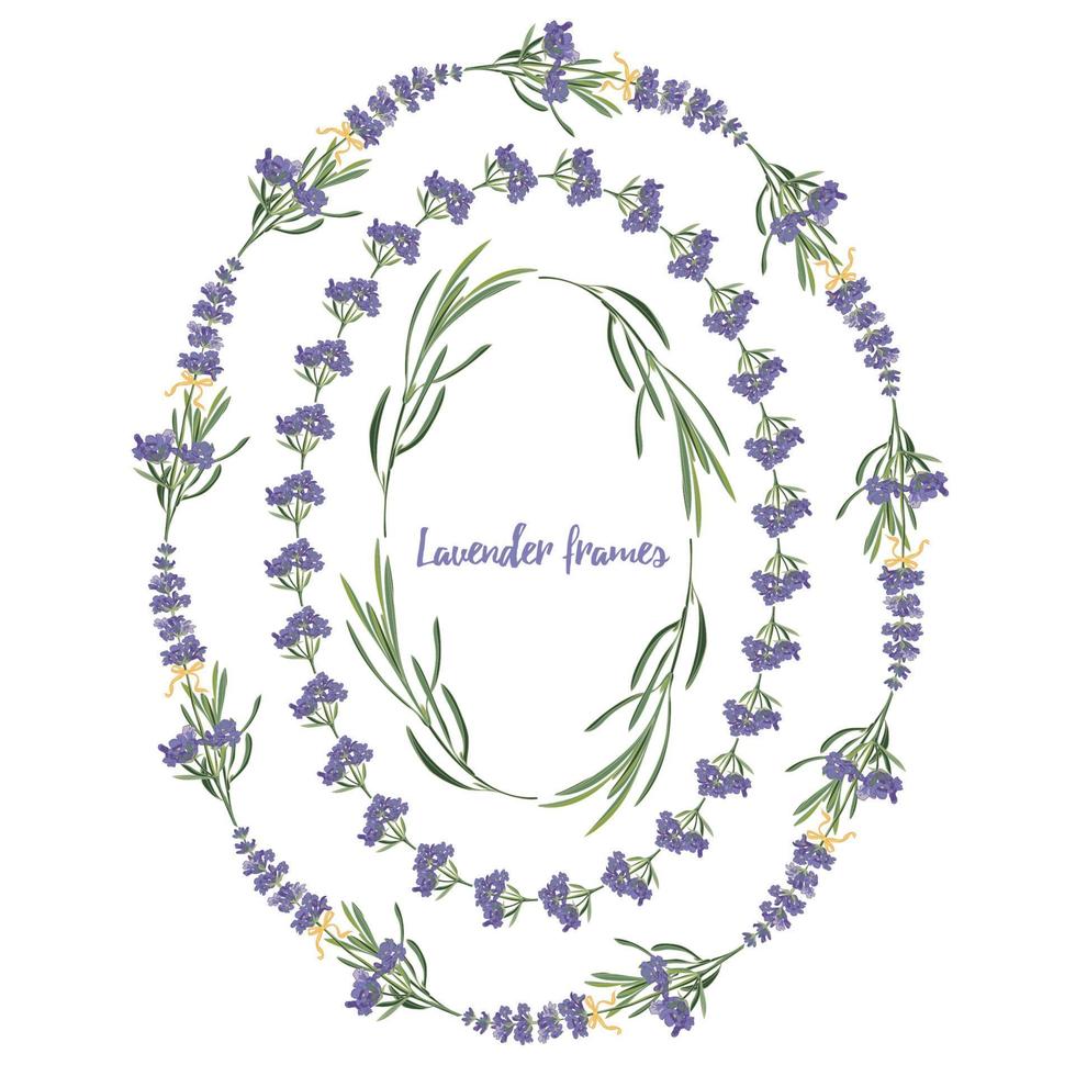 Set violet Lavender beautiful floral frames template in vector watercolor style isolated on white background for decorative design, wedding card, invitation, travel flayer. Botanical illustration