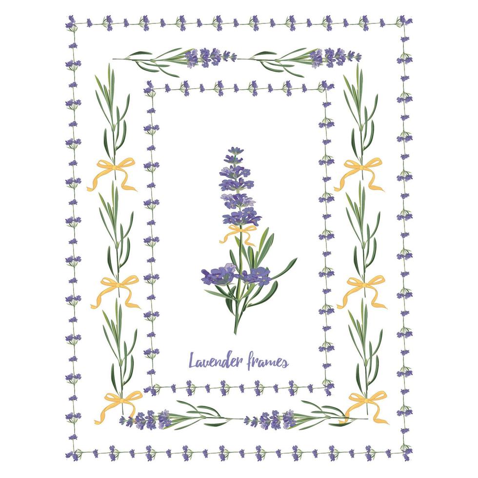 Set violet Lavender beautiful floral frames template in vector watercolor style isolated on white background for decorative design, wedding card, invitation, travel flayer. Botanical illustration
