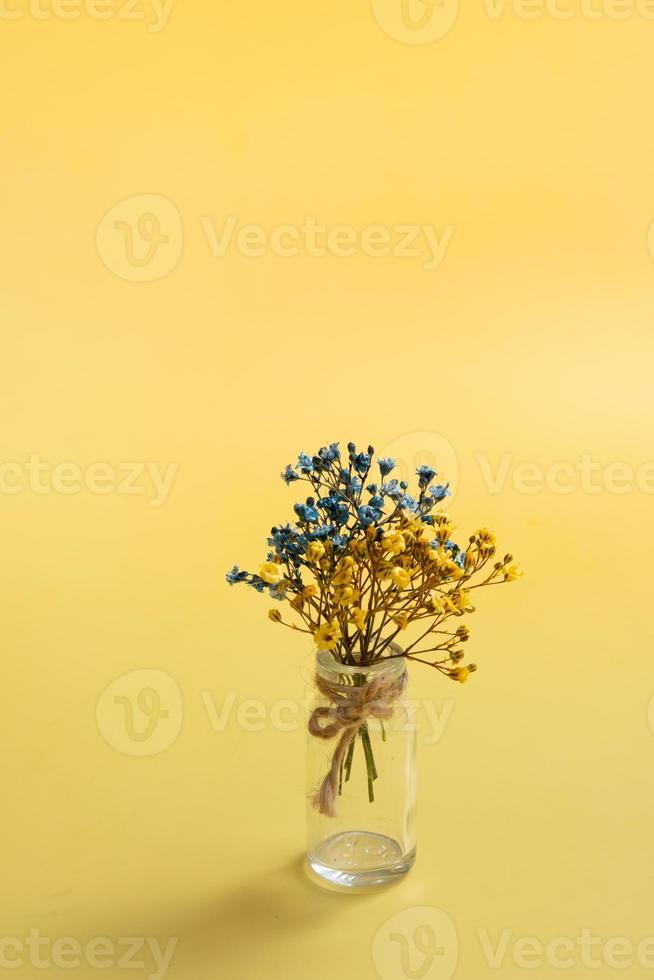 Blue and yellow gypsophila flowers on yellow background. Ukrainian symbolic colors, vertical photo