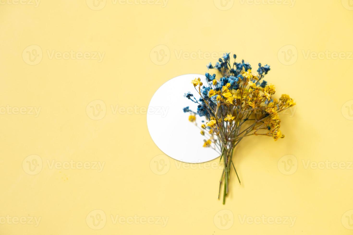 Blue and yellow gypsophila flowers and a mirror on yellow background. Ukrainian symbolic colors photo