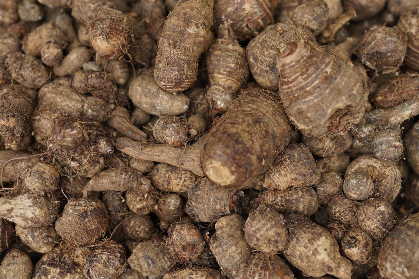 taro saludable y fresco cuidadosamente arreglado para la venta en el mercado. fondo vegetal sano y fresco foto