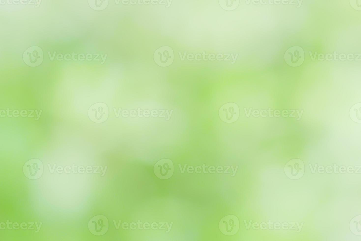 Abstract blurred soft focus of bright green color backgrounds photo