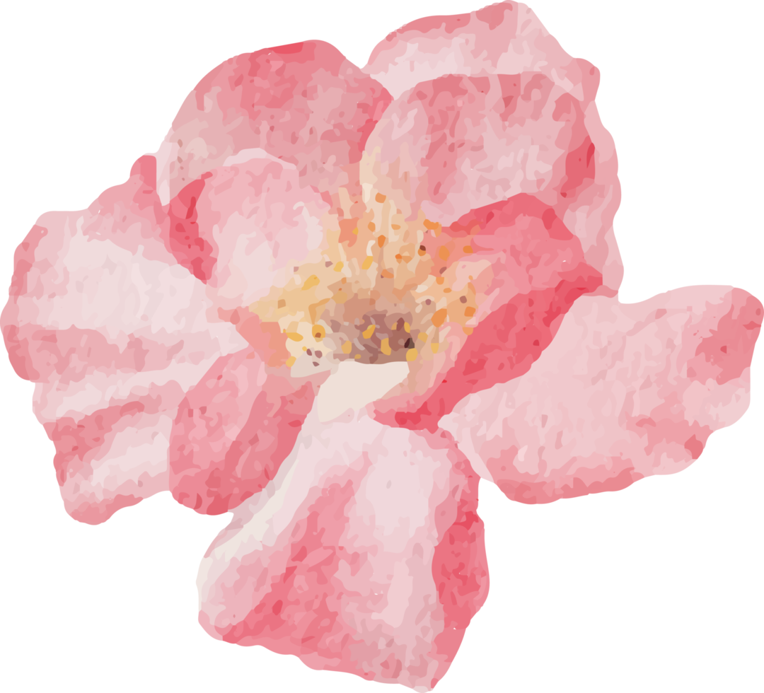 acuarela flor rosa rama flor ramo elementos png