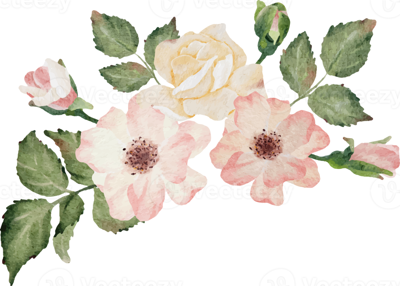 watercolor blooming rose branch flower bouquet png