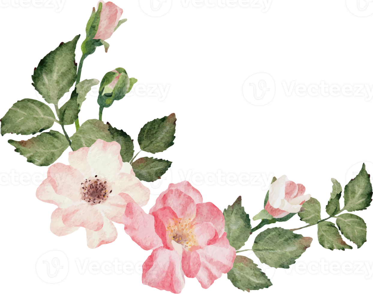 vattenfärg blomning reste sig gren blomma bukett png