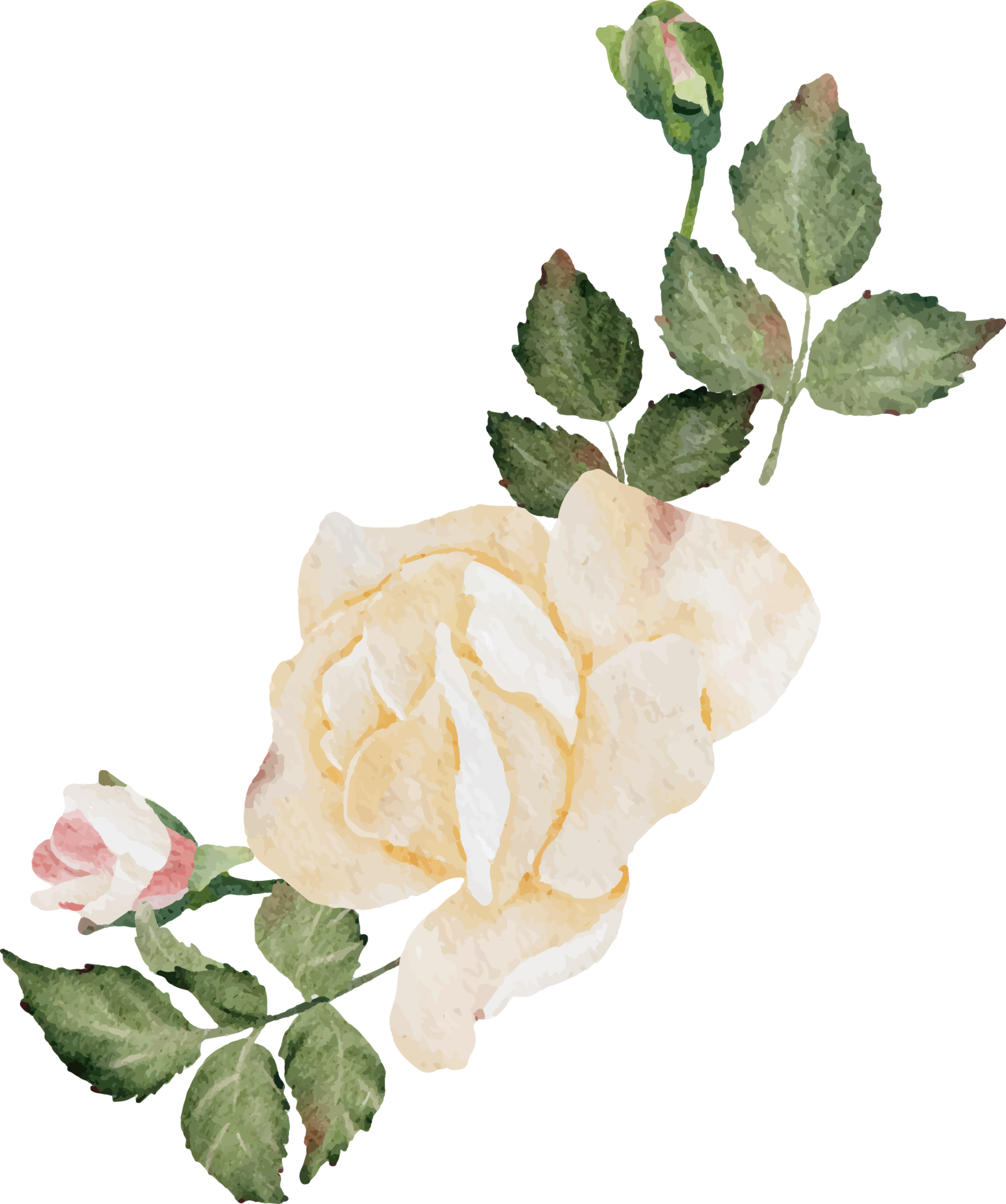 watercolor blooming rose branch flower bouquet 11002676 PNG