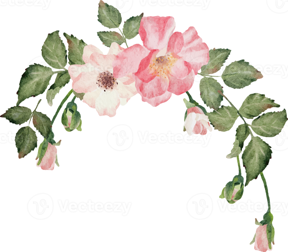 vattenfärg blomning reste sig gren blomma bukett png