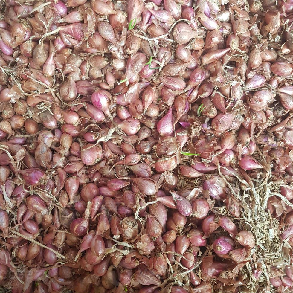 A bunch of red onions or shallots that are still fresh after being  harvested. 10972013 Stock Photo at Vecteezy