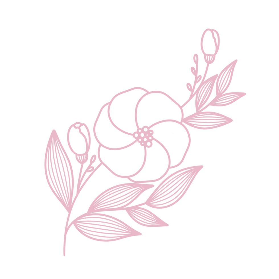 Line Art Floral and leaf png