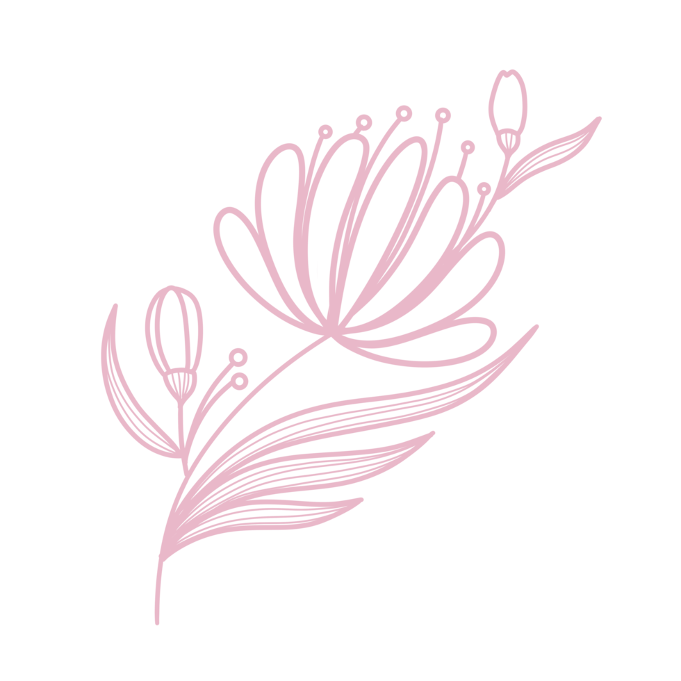 arte de linha floral e folha png