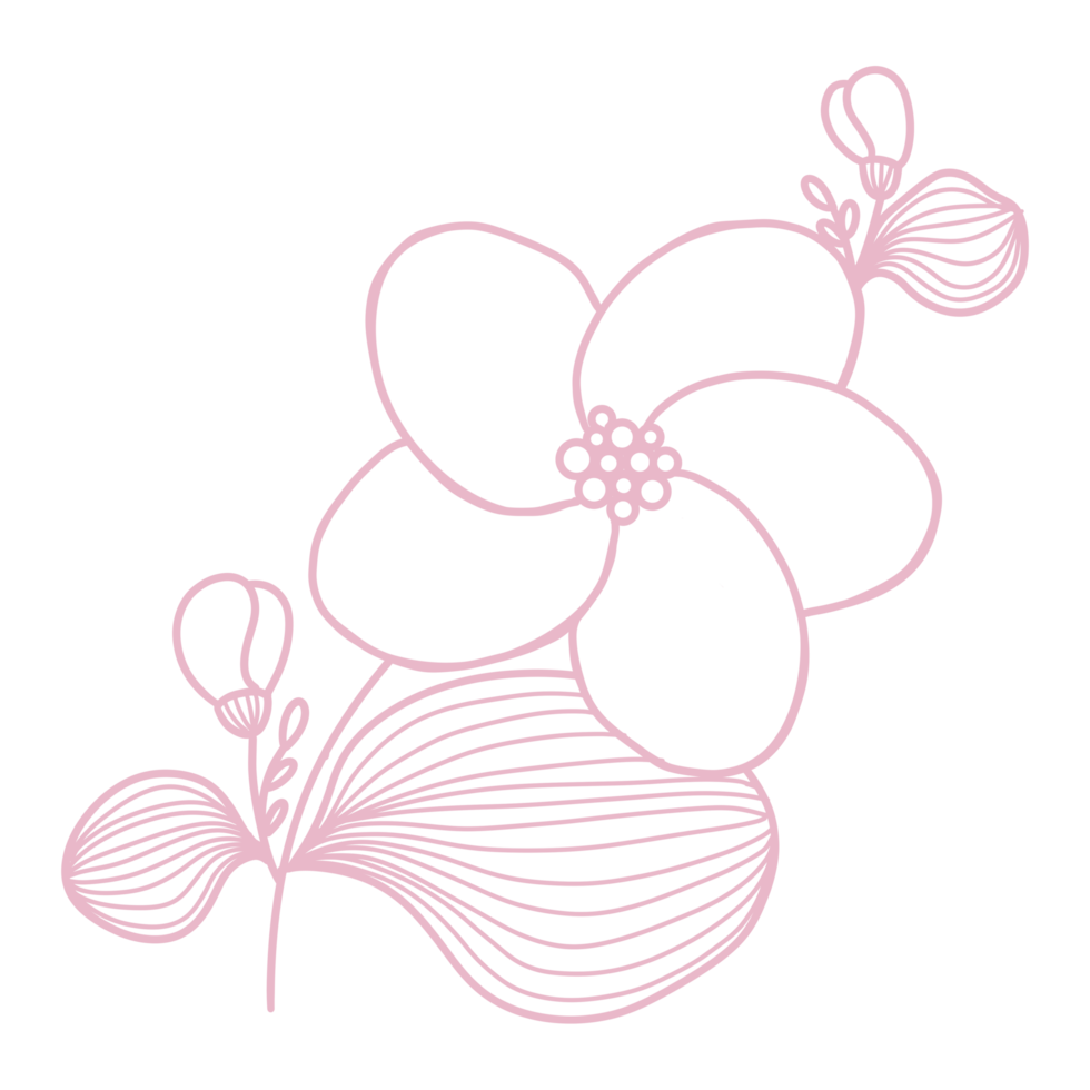 dessin au trait floral et feuille png