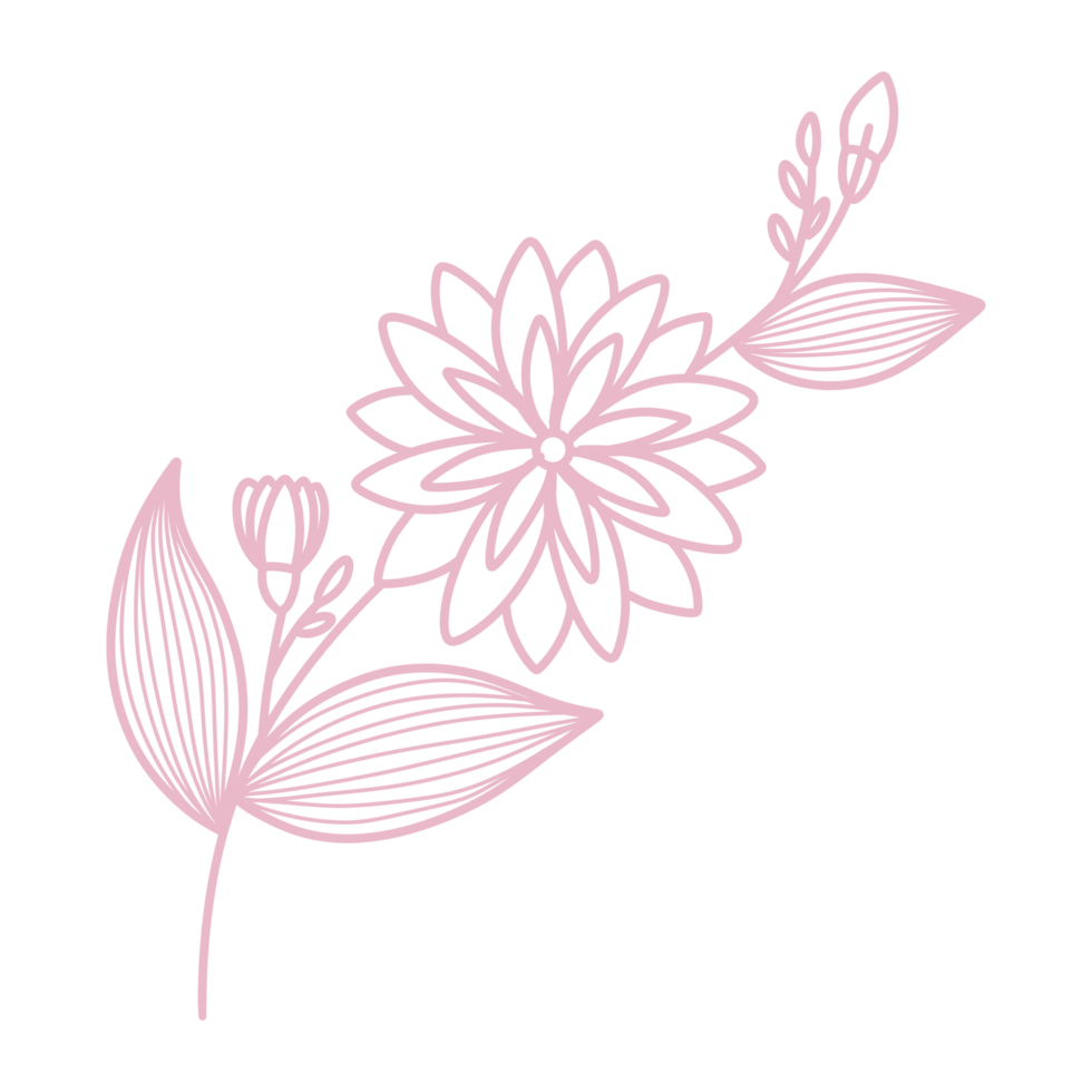 Line Art Floral and leaf png
