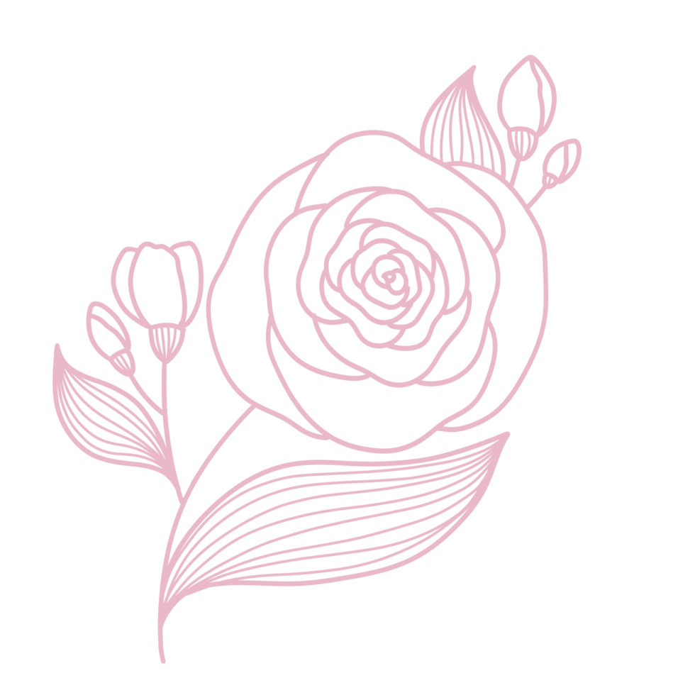 Line Art Floral and leaf png