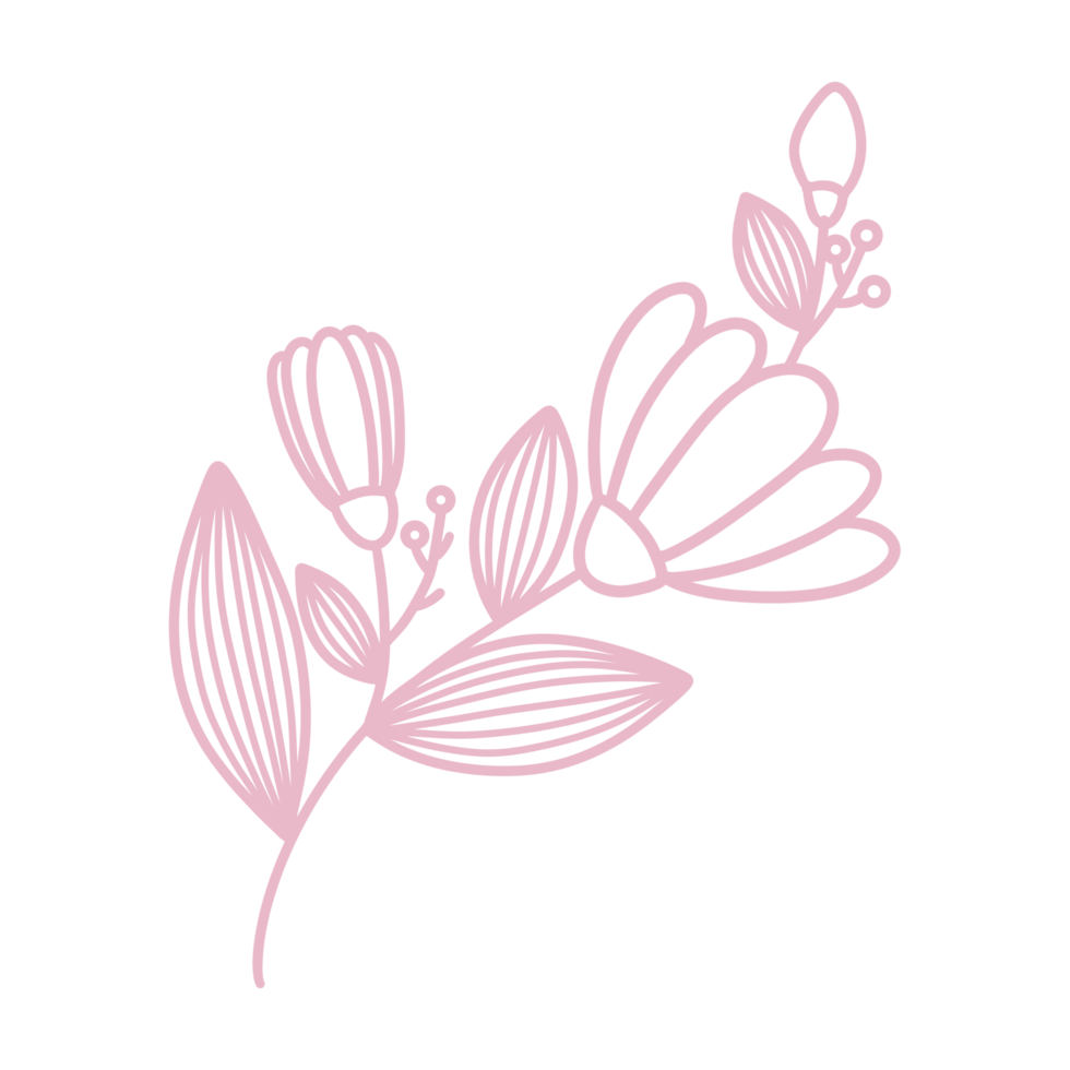 Line Art Floral and leaf 11003396 PNG