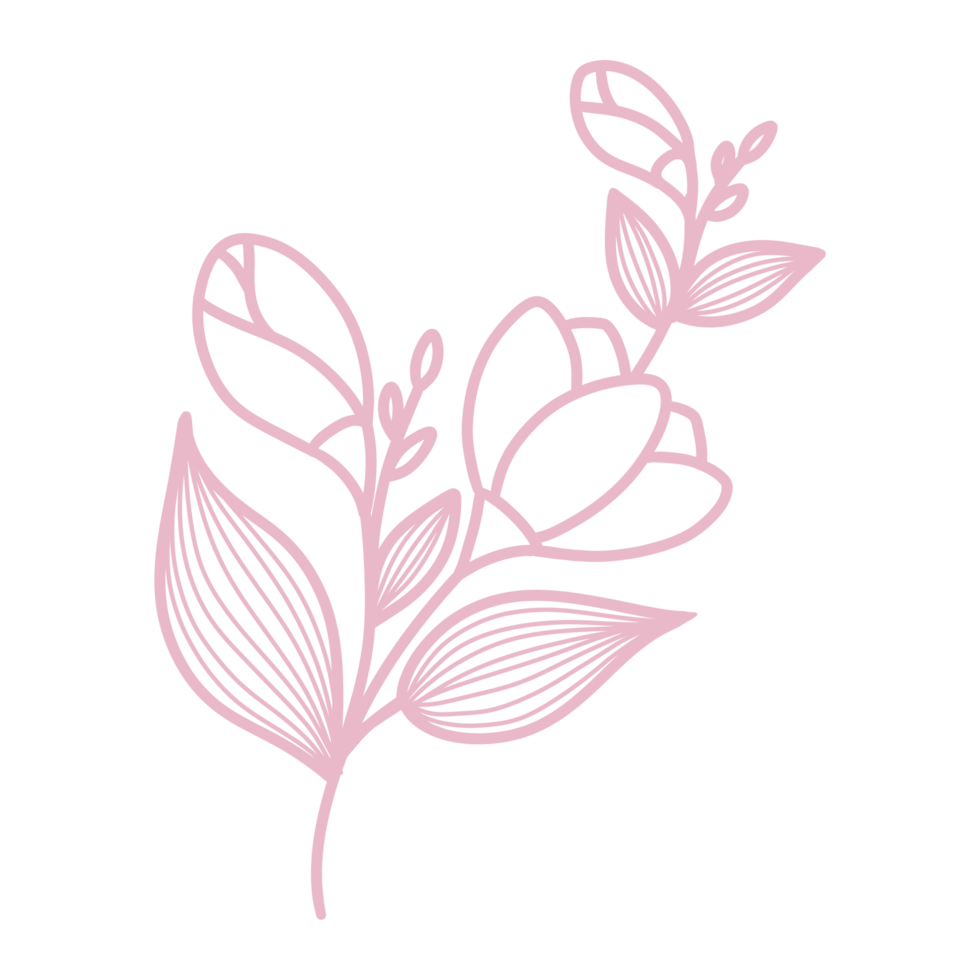 arte de linha floral e folha png