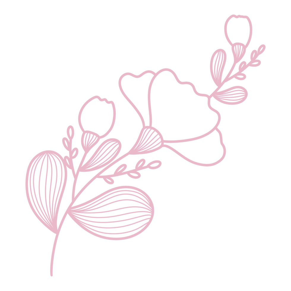 Line Art Floral and leaf png