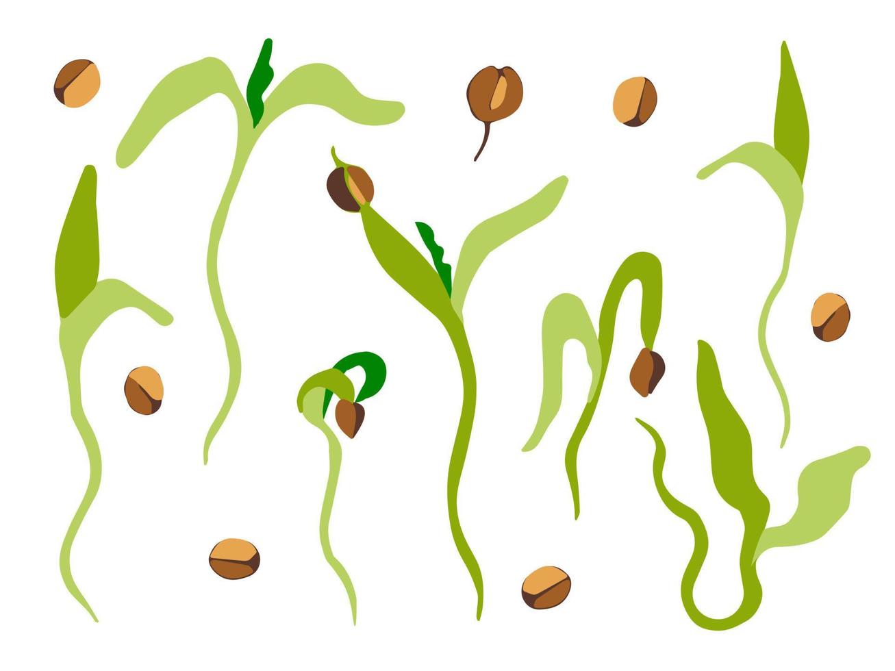 Coriander vector doodle illustration set