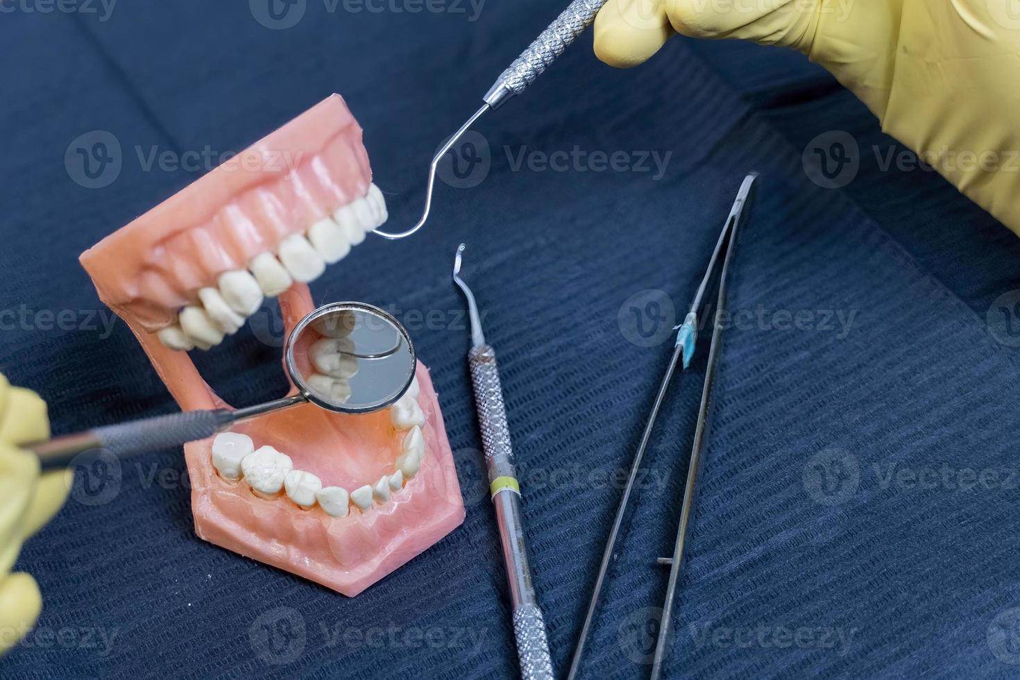 The dentist is holding dentures in his hands. photo