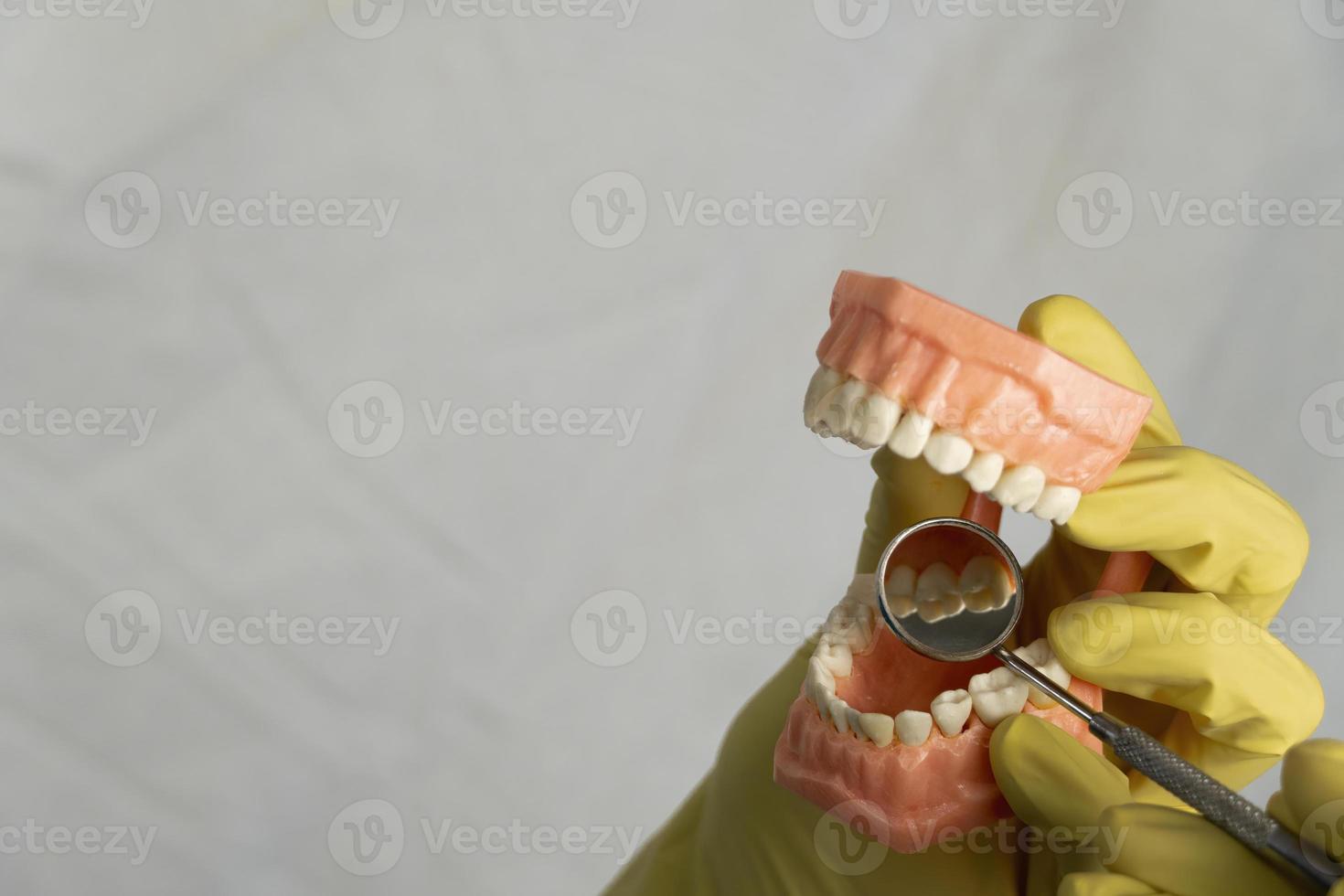 The dentist is holding dentures in his hands. photo