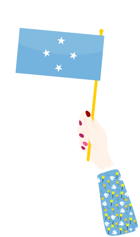 Micronesia Flag hand drawn,Dollar hand drawn png