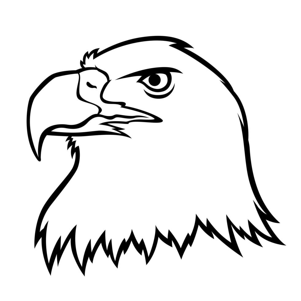 drawing a black head eagle vector