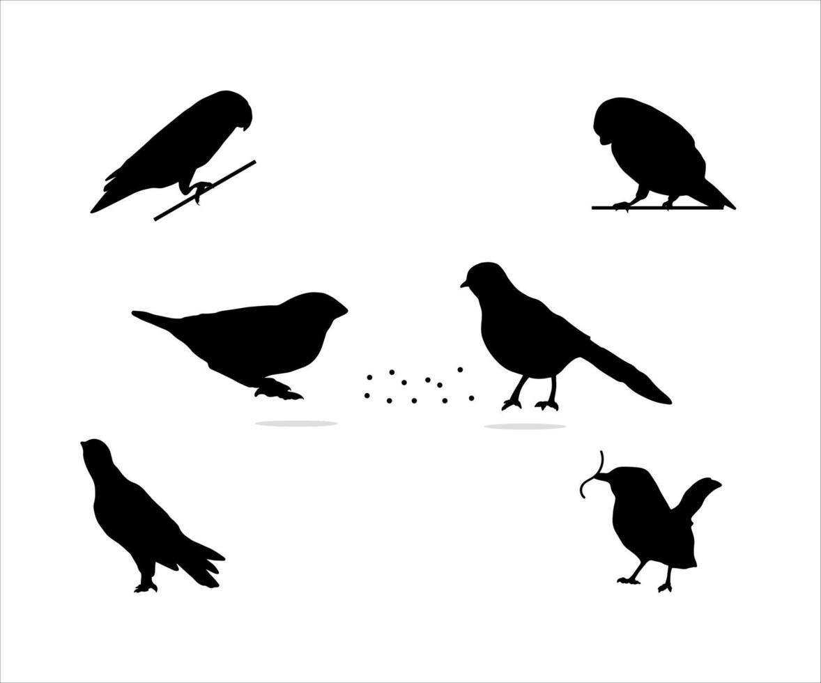 Collection of Bird with Their Food Silhouette vector