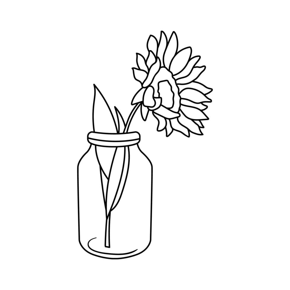 girasoles en tarro. flores silvestres en botella de vidrio. ilustración de contorno vectorial aislado en blanco vector