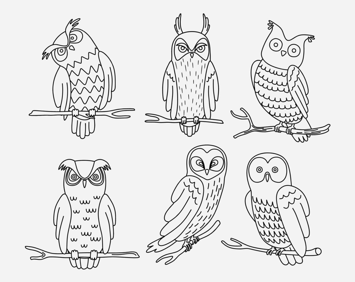 cartoon big set of cute doodle owl. vector