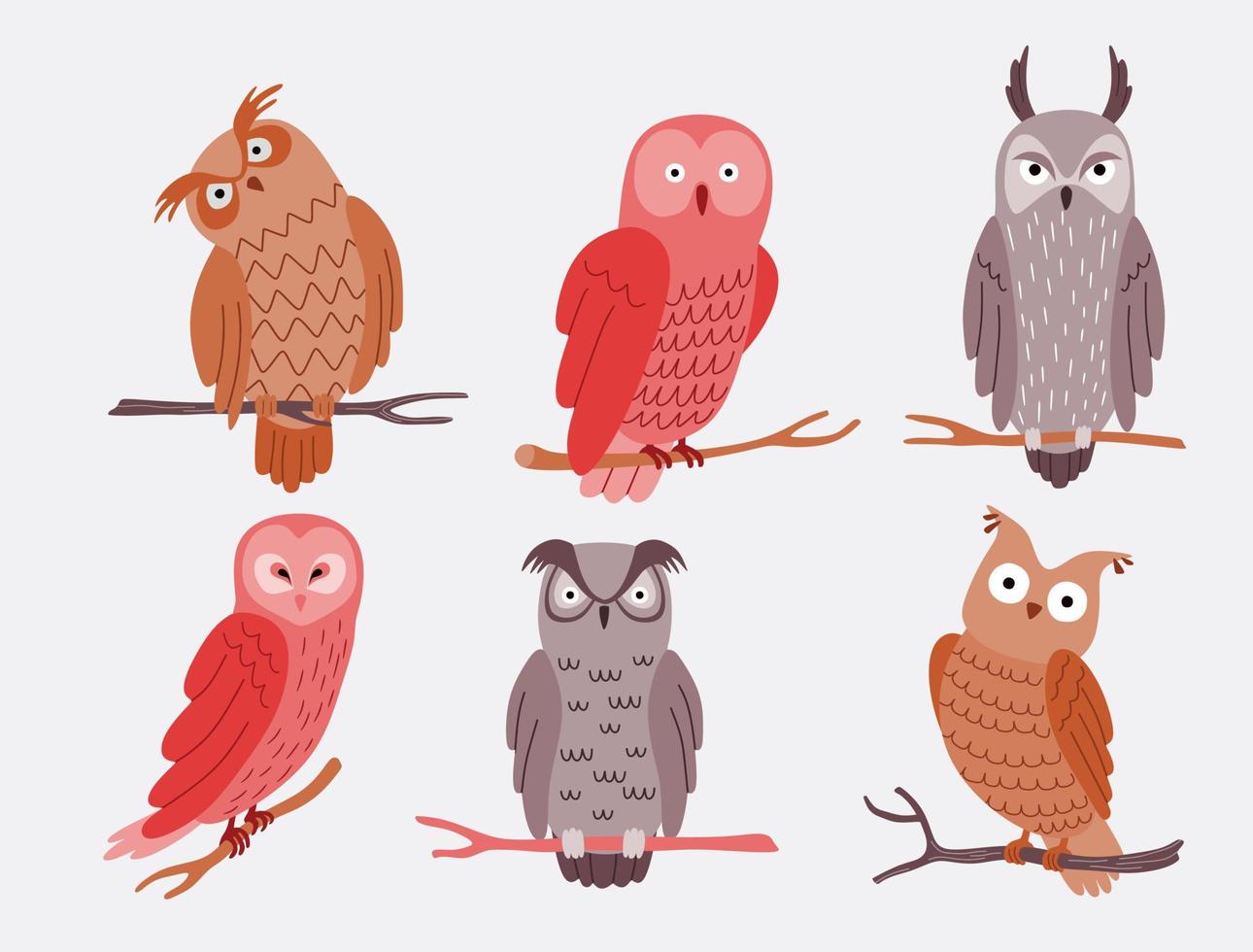 Vector set of different owls