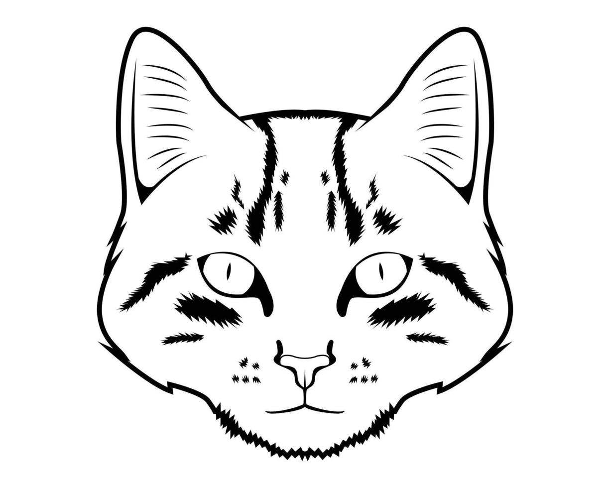 Cat drawing vector illustration