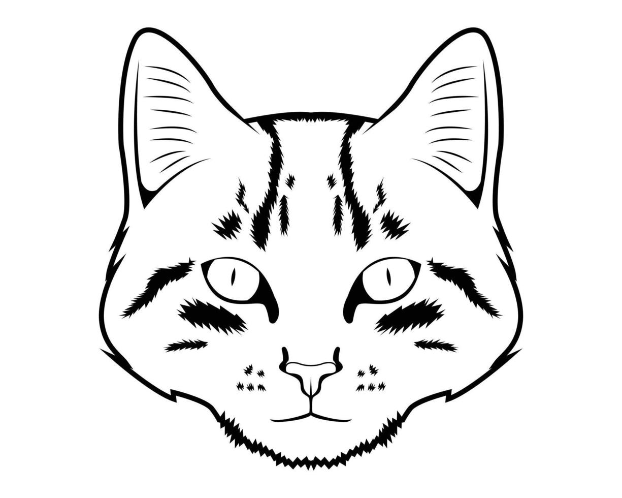 gato dibujo ilustración vectorial vector