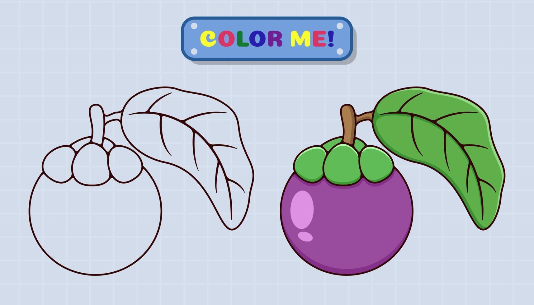 La página del libro para colorear mangostán viene con bocetos y muestras de color para niños y educación preescolar. ilustración de estilo de dibujos animados vector