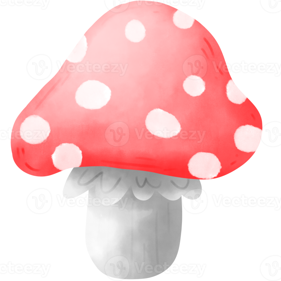 aquarelle champignon gnome png