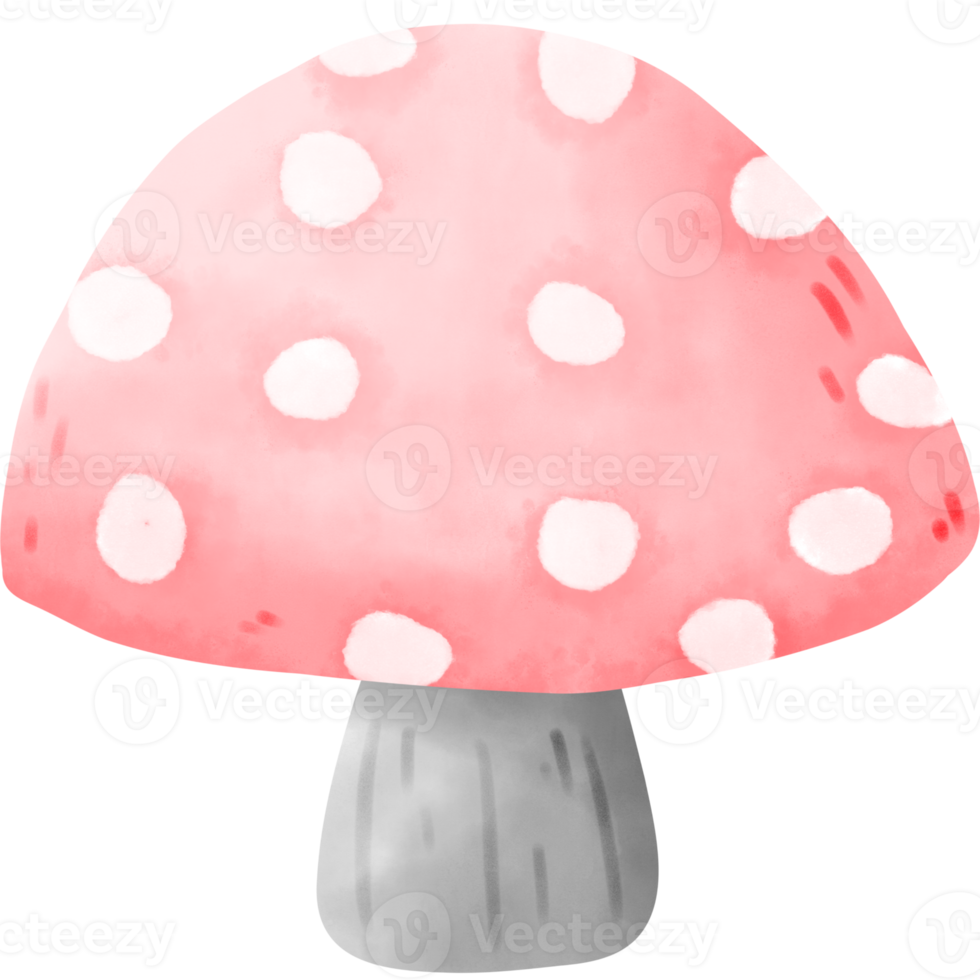Gnome mushroom watercolor png