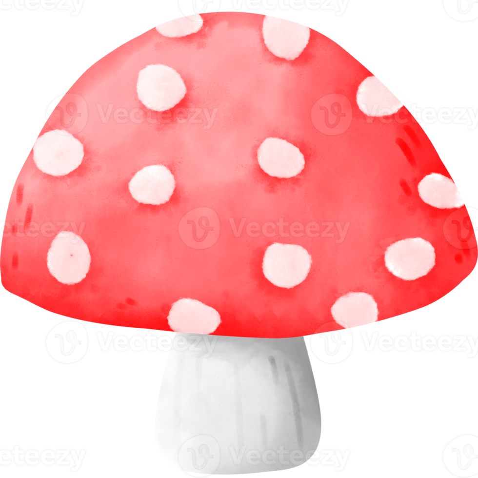 Gnome mushroom watercolor png