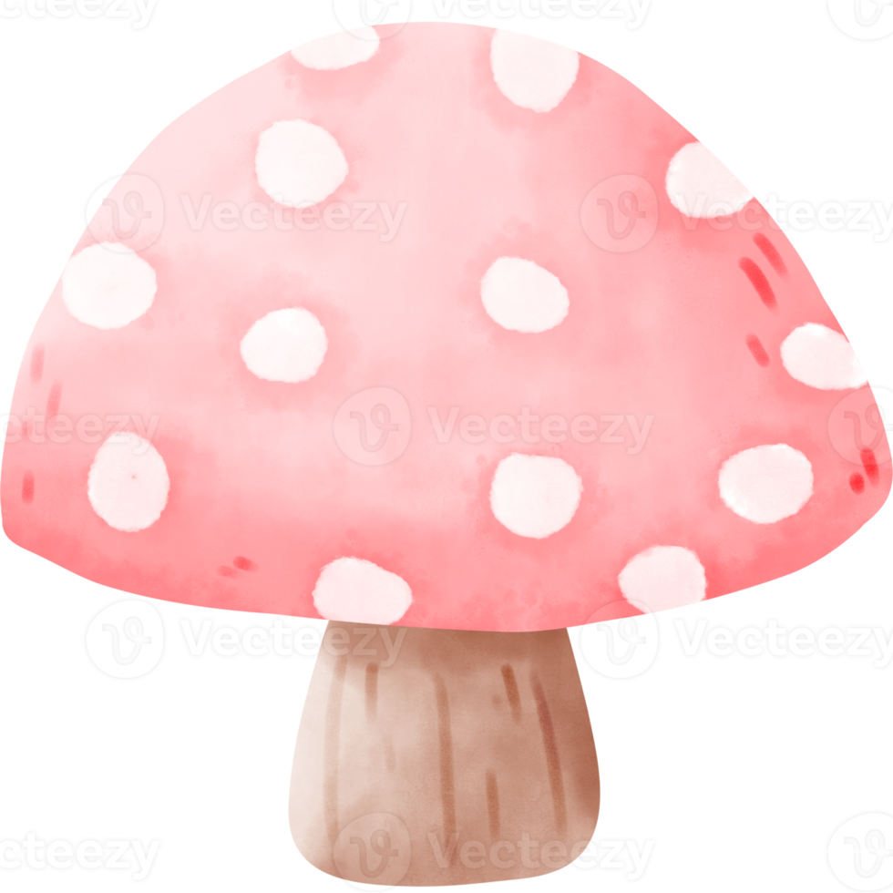 aquarelle champignon gnome png