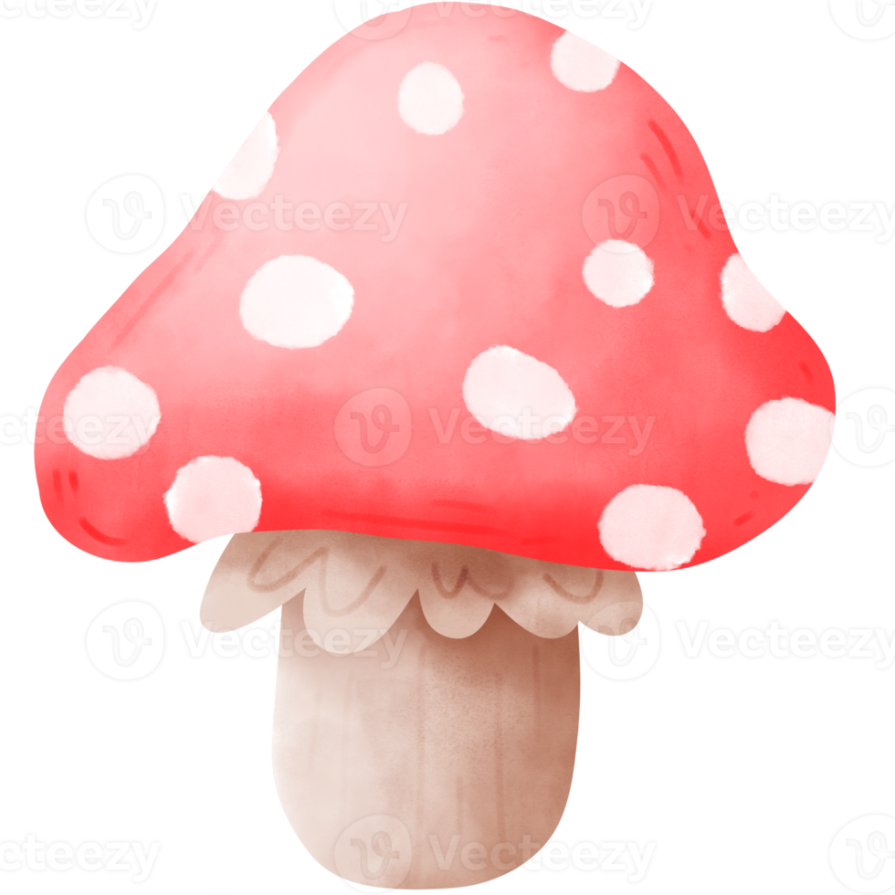 Gnome mushroom watercolor png