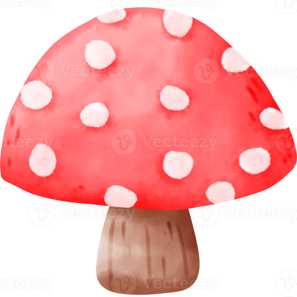 aquarelle champignon gnome png