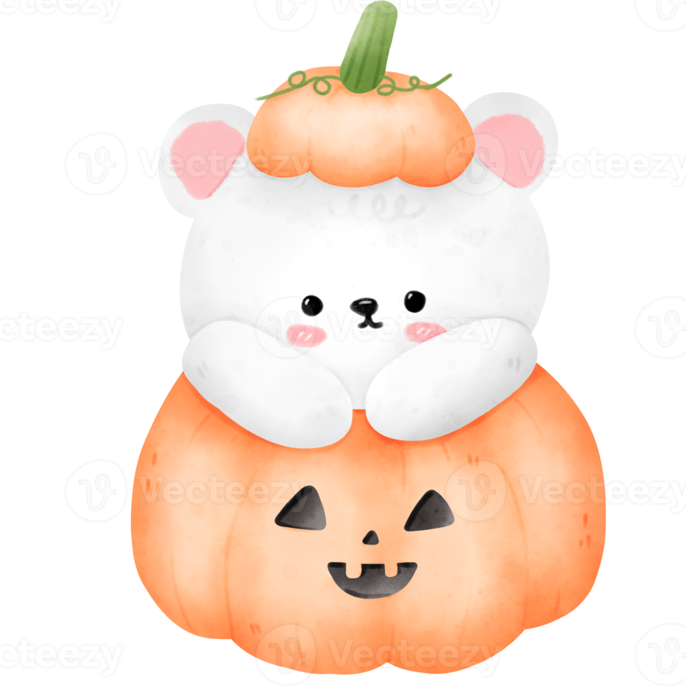 Bear in Halloween pumpkin png